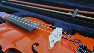 Violin