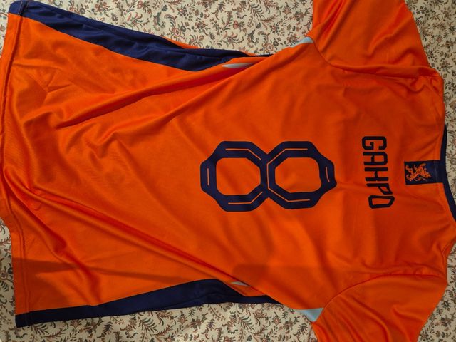 Camiseta GAKPO selección holandesa