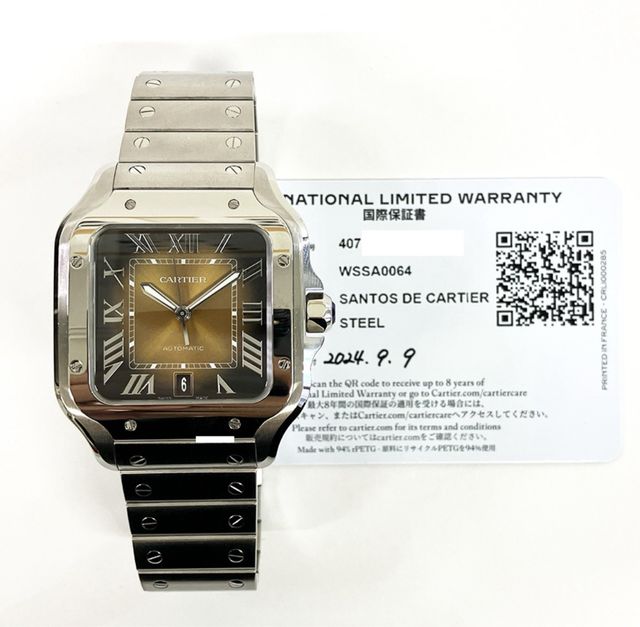 CARTIER SANTOS ACERO 2024