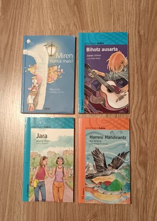 Novelas en euskera (varios autores)