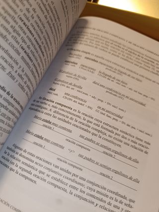 Conocimientos básicos de Lengua Española