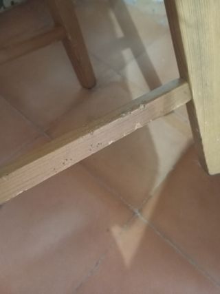 Trona infantil silla alta madera