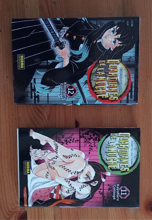 Comic manga Guardianes de la noche