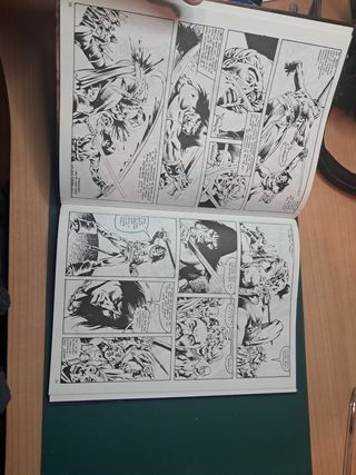 La espada salvaje de Conan Num 8