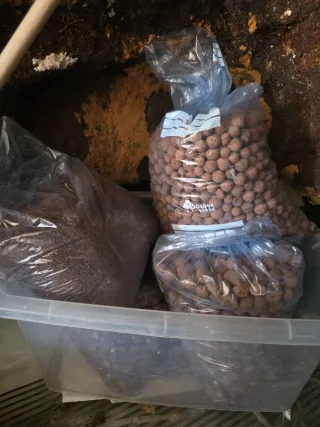 Terrario