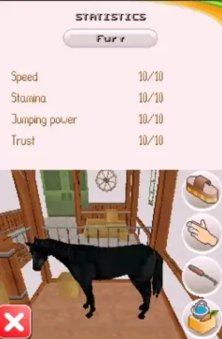 Riding Star Nintendo DS