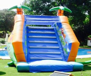castillo hinchable tobogan agua gigante