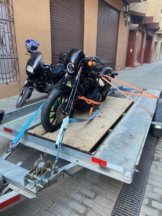 Remolque plataforma portacoches