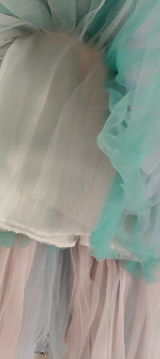 Vestito carnevale la principessa