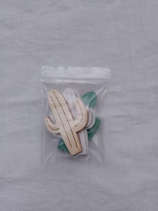 Decorazioni cactus