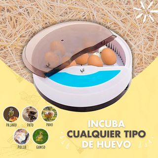 📦Incubadora Automática de Huevos Gallina, Aves