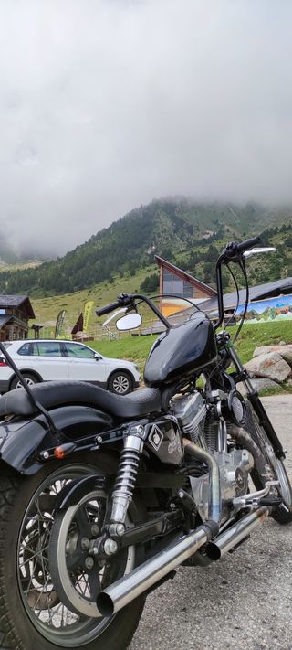 Harley davidson sportster 883 XL