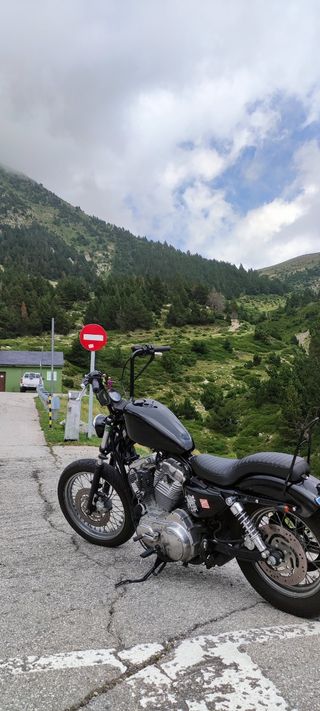 Harley davidson sportster 883 XL