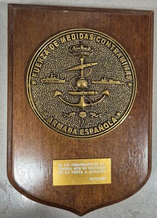 Lote de Metopas Militares Escudos