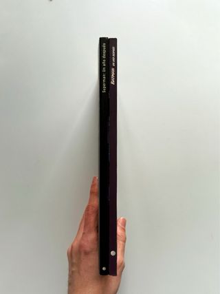 Batman y Superman Un año después