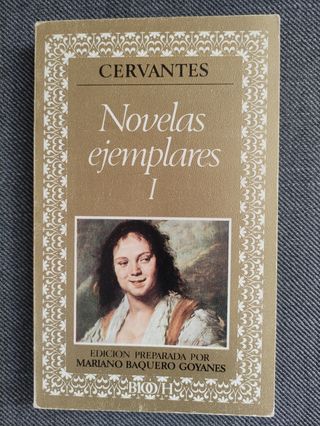 Novelas ejemplares (Biblioteca de la literatura y el pensamiento hispánicos ; 12) (Spanish Edition)