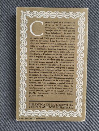 Novelas ejemplares (Biblioteca de la literatura y el pensamiento hispánicos ; 12) (Spanish Edition)
