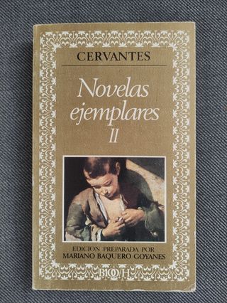 Novelas ejemplares (Biblioteca de la literatura y el pensamiento hispánicos ; 12) (Spanish Edition)