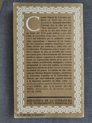 Novelas ejemplares (Biblioteca de la literatura y el pensamiento hispánicos ; 12) (Spanish Edition)