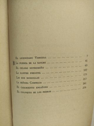 Novelas ejemplares (Biblioteca de la literatura y el pensamiento hispánicos ; 12) (Spanish Edition)
