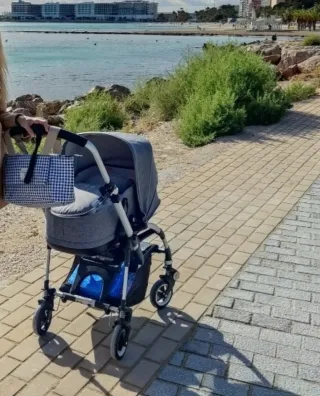 Bugaboo bee5 silla y capazo