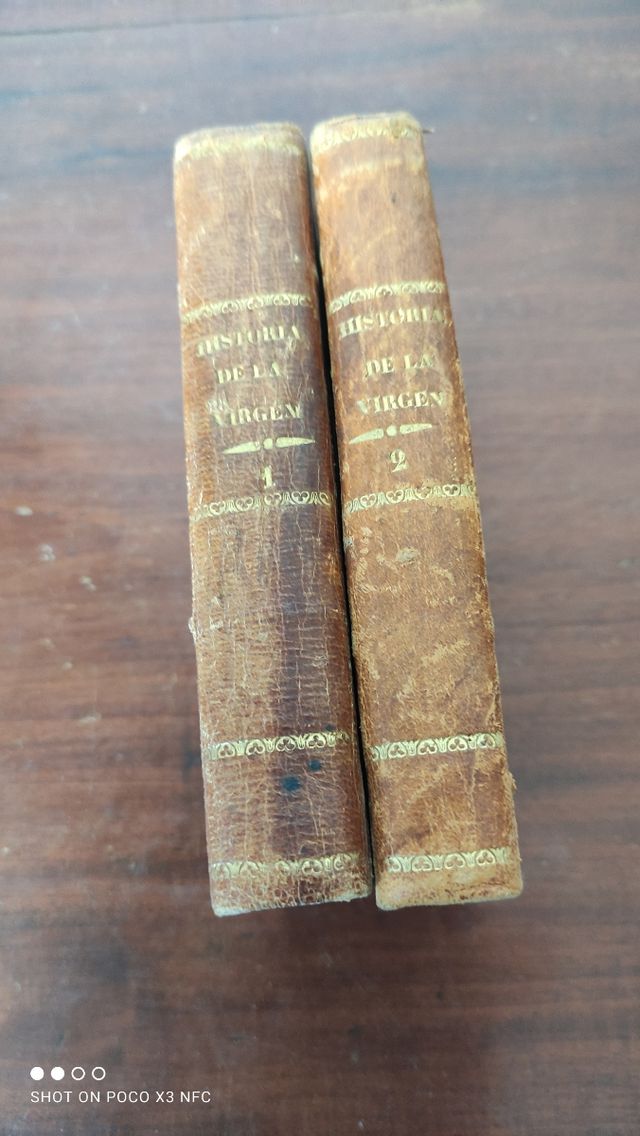Libro antiguo 1850 Historia de la Virgen