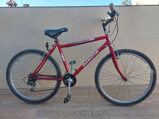 Bicicleta de montaña 