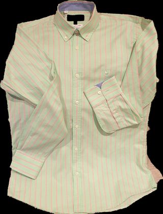 Camisa verde,  el ganso