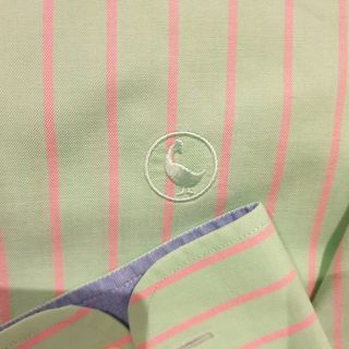 Camisa verde,  el ganso