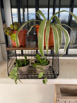 Cesta frutero de metal y madera