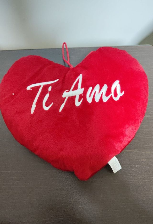 SAN VALENTINO AMORE CUORE IN PELUCHE PLUSH HEART