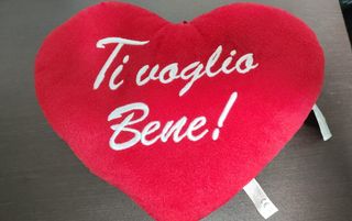 SAN VALENTINO AMORE CUORE IN PELUCHE TI VOGLIO BEN
