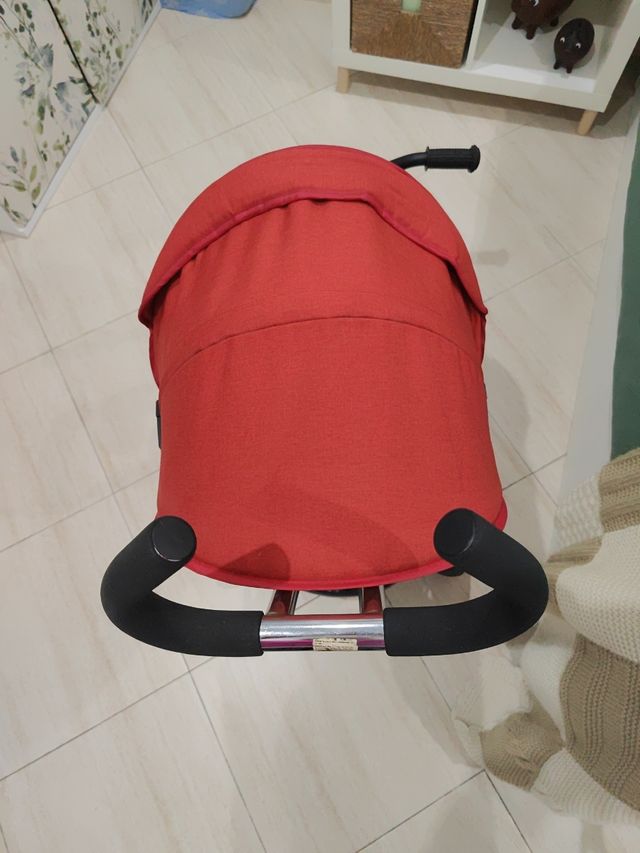 Carro triciclo de paseo niño