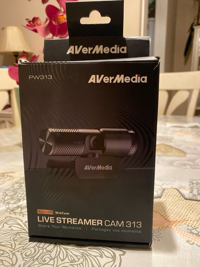 Webcam avermedia pw313