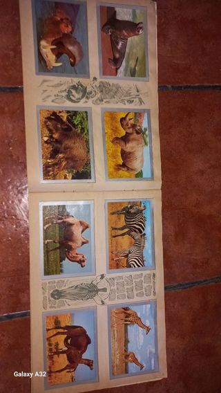 Lote militar antiguo