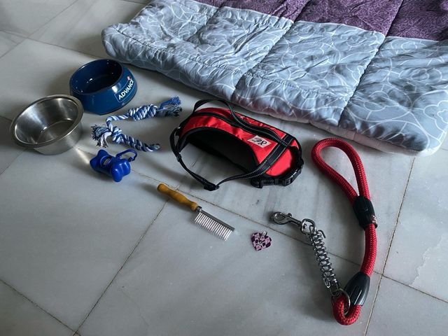 Cama Perro Grande XL