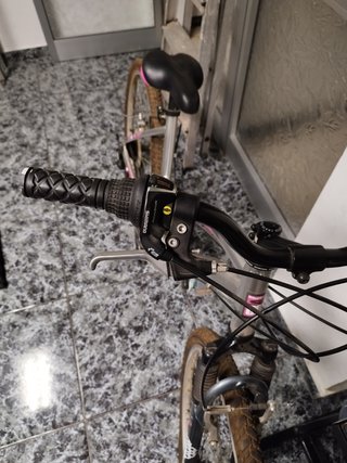 Bicicleta de paseo