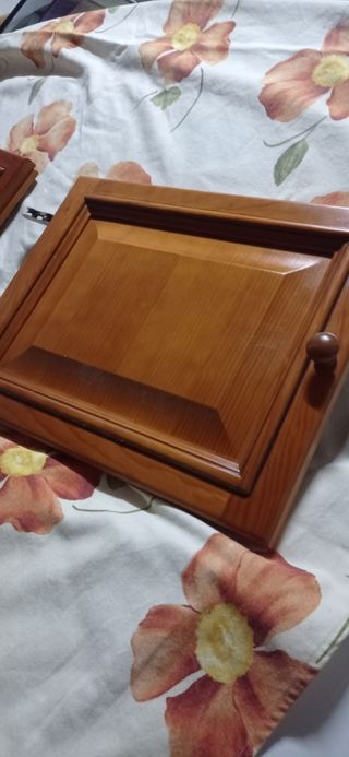 Puertas de madera 