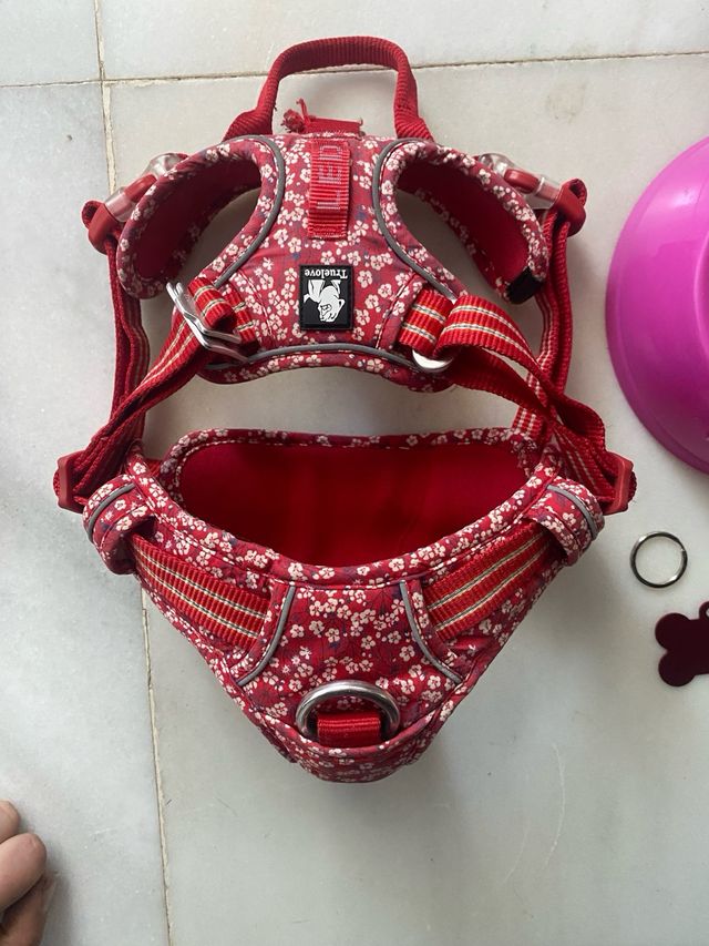 LOTE Arnes Correa Plato Chapa