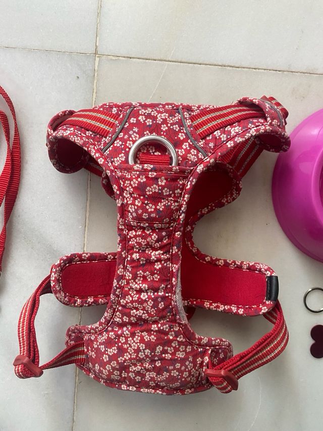 LOTE Arnes Correa Plato Chapa