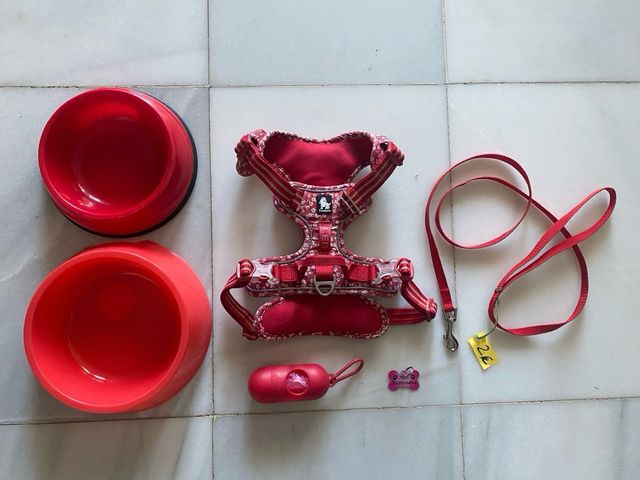 LOTE Arnes Correa Plato Chapa