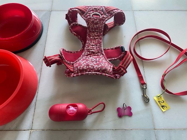 LOTE Arnes Correa Plato Chapa