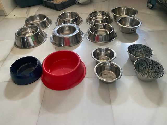 Comederos de Metal Perro