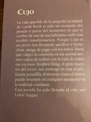 Oferta lecturas: paciente inglés Casino Cujo Becas