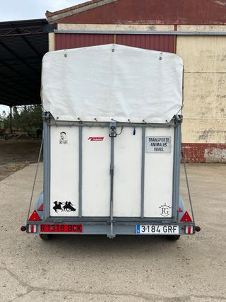 Vans de dos caballos.