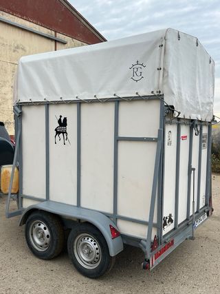 Vans de dos caballos.