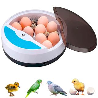 🐣Incubadora Automática de Huevos Gallina, Aves y