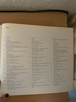 El siglo de oro del paisaje holandes