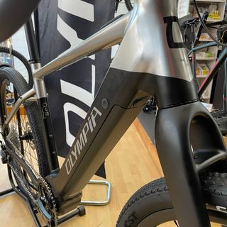 Olympia Ebike Gravel Sled
