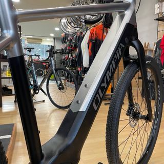 Olympia Ebike Gravel Sled